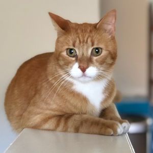 Meet your Posher, Kathryn